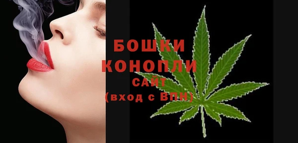 spice Абаза