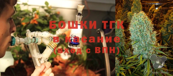 spice Абаза