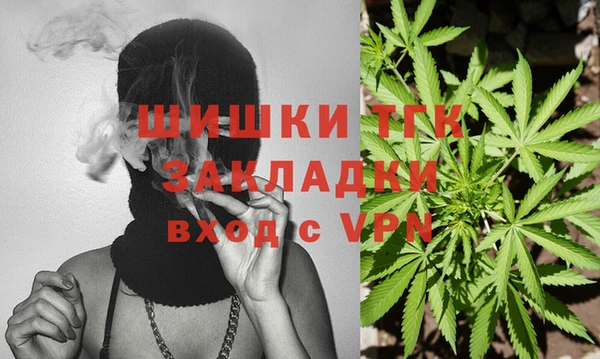 СК Абинск