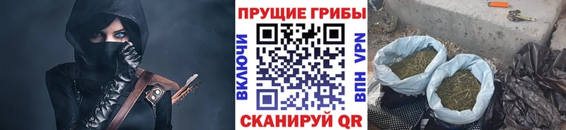 Галлюциногенные грибы Cubensis  Котельнич 